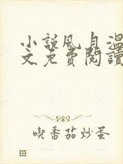 小说风月温柔全文免费阅读