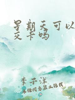 星期天可以办公交卡吗