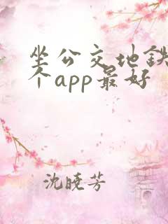 坐公交地铁用哪个app最好