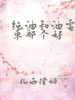 纯油和油电混合车哪个好
