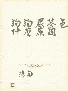 狗狗尿茶色尿是什么原因
