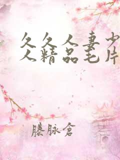 久久人妻少妇偷人精品毛片