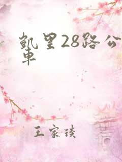 凯里28路公交车