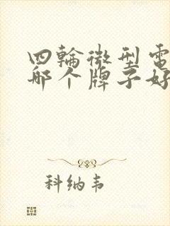 四轮微型电动车哪个牌子好