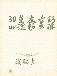 30万左右的suv混动车排行榜前十名