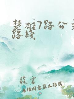 楚雄7路公交车路线