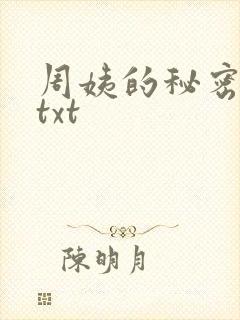 周姨的秘密全集txt