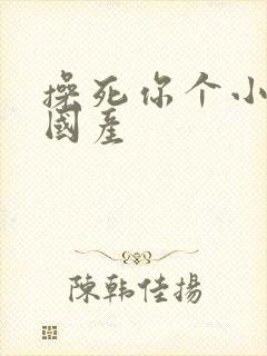 操死你个小骚货国产
