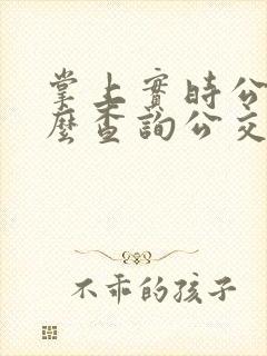 掌上实时公交怎么查询公交车到哪了