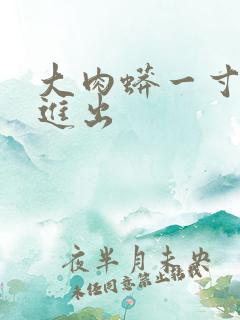 大肉蟒一寸一寸进出 大肉蟒一寸一寸进出