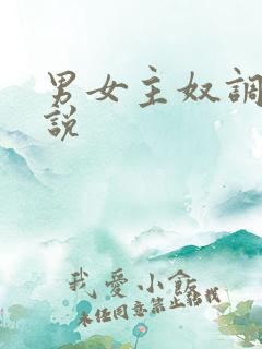 男女主奴调教小说