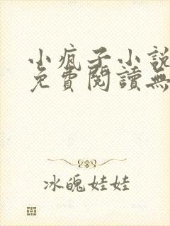 小疯子小说全文免费阅读无弹窗