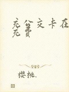 充公交卡在哪里充费