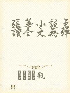 张华小说免费阅读全文无弹窗