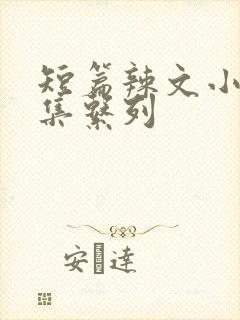 短篇辣文小说合集系列