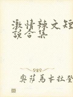 激情辣文短篇小说合集