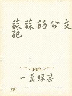 苏苏的公交车日记