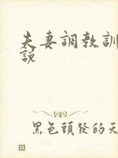 夫妻调教训诫小说