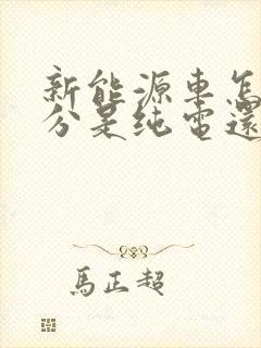 新能源车怎么区分是纯电还是混动的