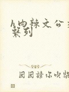 h肉辣文公交车系列