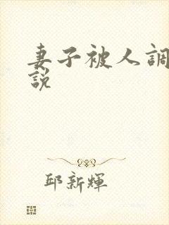 妻子被人调教小说