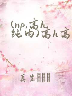 (np,高h,纯肉)高h高