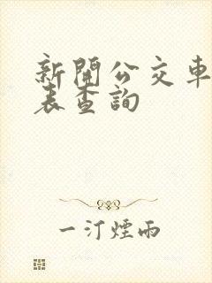 新开公交车时刻表查询