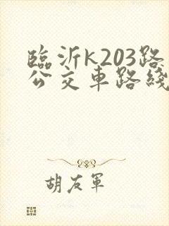 临沂k203路公交车路线时间表