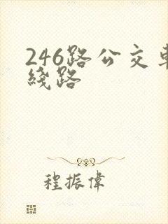 246路公交车线路