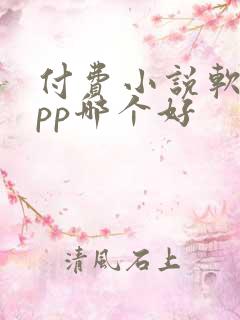 付费小说软件app哪个好