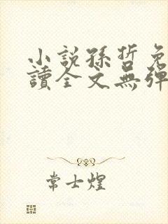 小说孙哲免费阅读全文无弹窗