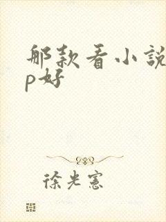 那款看小说app好