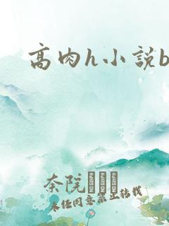 高肉h小说bl