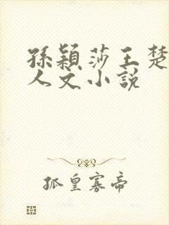 孙颖莎王楚钦同人文小说