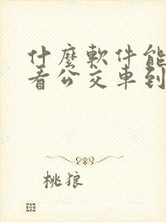 什么软件能实时看公交车到哪儿了