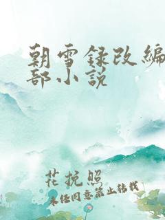 朝雪录改编自哪部小说