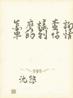 怎么样查询公交车的到站情况