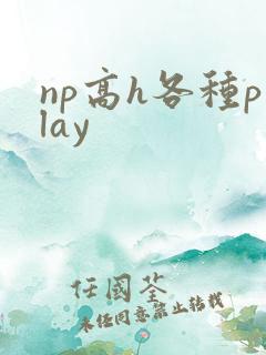 np高h各种play