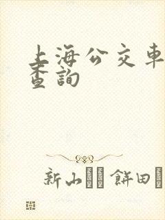 上海公交车线路查询