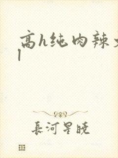 高h纯肉辣文bl