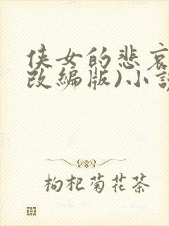 侠女的悲哀(含改编版)小说