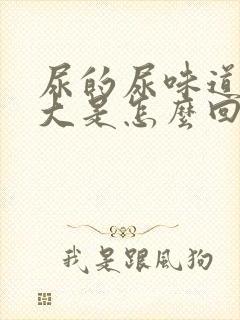 尿的尿味道特别大是怎么回事