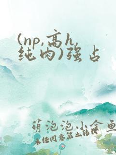 (np,高h,纯肉)强占
