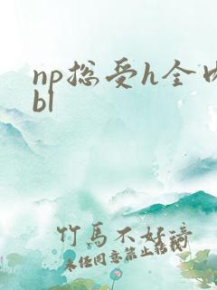 np总受h全肉bl