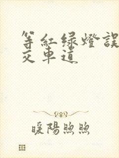等红绿灯误入公交车道