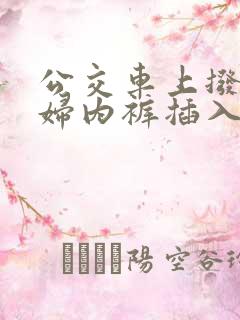 公交车上拨开少妇内裤插入