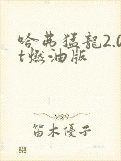 哈弗猛龙2.0t燃油版
