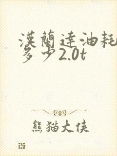 汉兰达油耗实际多少2.0t