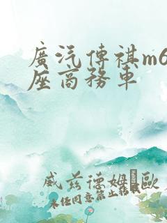 广汽传祺m6七座商务车