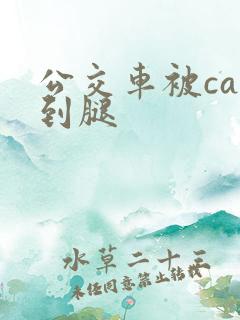 公交车被cao到腿